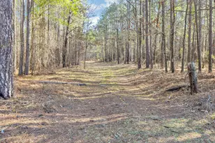 000 Banks Mill Rd, Aiken, SC 29803 - Photo 1