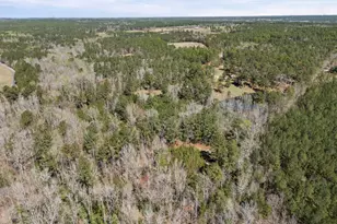 317 Square Circle Rd, Graniteville, SC 29829 - Photo 56