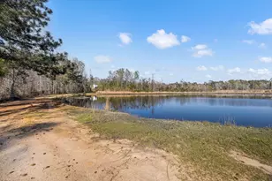 3768 Mitchner Rd, Dearing, GA 30808 - Photo 62