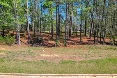 Lot N-045 Captain Johnsons Drive #Lot N-045, North Augusta, SC 29860 - Photo 6