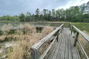 2009 Fort Creek Rd, Dearing, GA 30808 - Photo 20