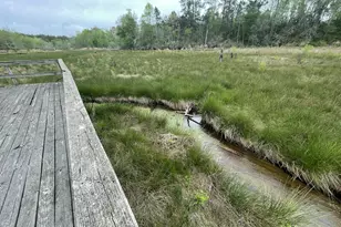 2009 Fort Creek Rd, Dearing, GA 30808 - Photo 22