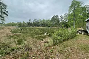 2009 Fort Creek Rd, Dearing, GA 30808 - Photo 26