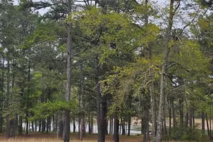 1089 Lbk Cir, Tignall, GA 30668 - Photo 22