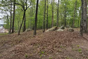 1010 Nautical Point, Lincolnton, GA 30817 - Photo 8