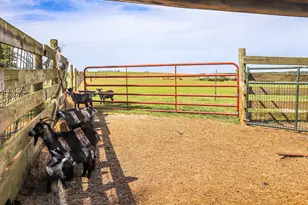 9466 Clarks Mill Rd, Avera, GA 30803 - Photo 68