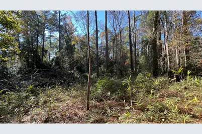 40 Red Maple Court, North Augusta, SC 29841 - Photo 8
