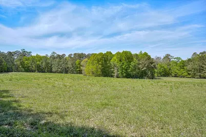 4375 Chamberlain S Ferry Road, Lincolnton, GA 30817 - Photo 30
