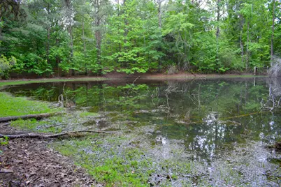 3444 Sandhill Road, Thomson, GA 30824 - Photo 54
