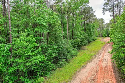 1622 Hinton Wilson Road, Harlem, GA 30814 - Photo 4