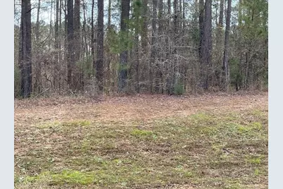 N-63 Eutaw Springs Trail #Lot N-063, North Augusta, SC 29860 - Photo 1