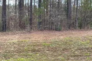 N-63 Eutaw Springs Trail, North Augusta, SC 29860 - Photo 1