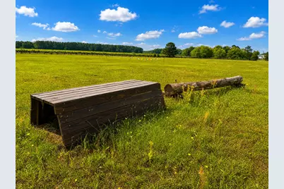 8 Cross Country Lane #Lot 8, Trenton, SC 29847 - Photo 4