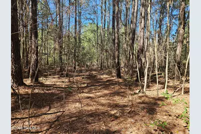 57 Eagle Nest Trail, Blounts Creek, NC 27814 - Photo 10