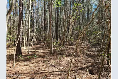 57 Eagle Nest Trail, Blounts Creek, NC 27814 - Photo 12