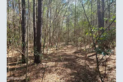 57 Eagle Nest Trail, Blounts Creek, NC 27814 - Photo 8
