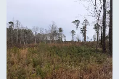 00 Vinson Rd., Clayton, NC 27527 - Photo 2