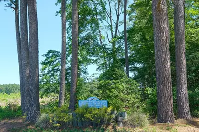 506 Batchelor Bay Drive, Windsor, NC 27983 - Photo 4