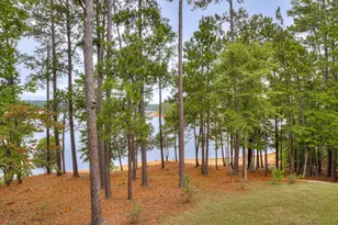 184 Brandywine Dr, McCormick, SC 29835 - Photo 58