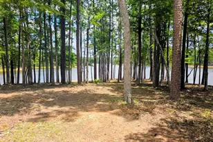 621 Heritage Cove Cove, McCormick, SC 29835 - Photo 12