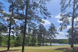 4038 S Goshen Lake Dr, Augusta, GA 30906 - Photo 40