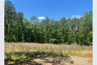 0000 Dooly Springs, Lincolnton, GA 30817 - Photo 1
