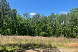 0000 Dooly Springs, Lincolnton, GA 30817 - Photo 1