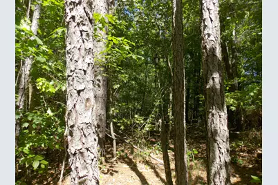 12 Doe Run, Lincolnton, GA 30817 - Photo 1