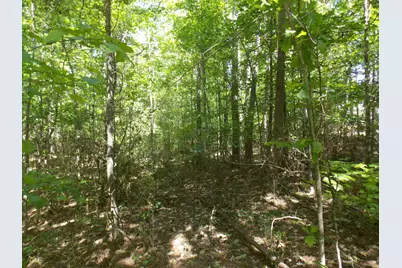 12 Doe Run, Lincolnton, GA 30817 - Photo 2
