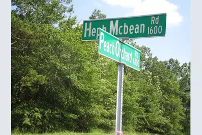 1436 Hephzibah McBean Road, Hephzibah, GA 30815 - Photo 6