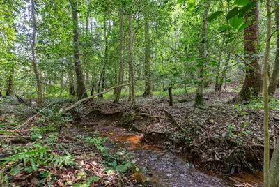 Lot 7 Woodspring Court, North Augusta, SC 29860 - Photo 4