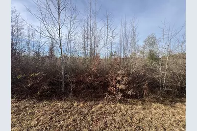 Lot3 Hephzibah Church Road, Lincolnton, GA 30817 - Photo 1