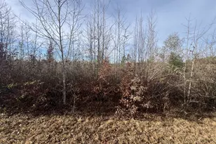 Lot3 Hephzibah Church Rd, Lincolnton, GA 30817 - Photo 1