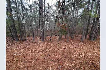 6-47 Superior Cove, McCormick, SC 29835 - Photo 10