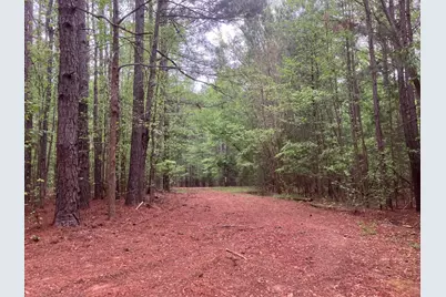 905 Neptune Trail, Appling, GA 30802 - Photo 6