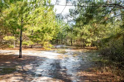 00 Edgefield Road, Trenton, SC 29847 - Photo 18