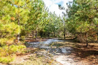 00 Edgefield Road, Trenton, SC 29847 - Photo 20
