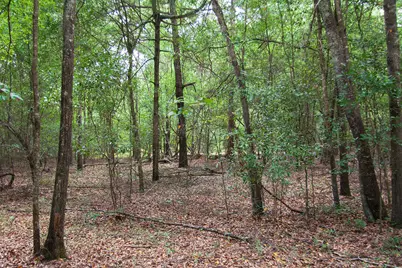 1515G Hephzibah - McBean Road, Hephzibah, GA 30815 - Photo 8
