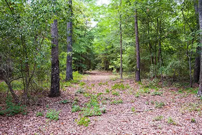 1515G Hephzibah - McBean Road, Hephzibah, GA 30815 - Photo 6