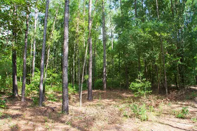 1515B Hephzibah McBean Road, Hephzibah, GA 30815 - Photo 6