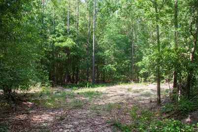 1515B Hephzibah McBean Road, Hephzibah, GA 30815 - Photo 8