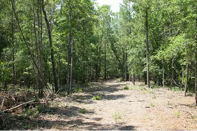 1515H Hephzibah - McBean Road, Hephzibah, GA 30815 - Photo 24