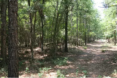 1515H Hephzibah - McBean Road, Hephzibah, GA 30815 - Photo 22
