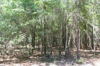 1515H Hephzibah - McBean Road, Hephzibah, GA 30815 - Photo 16