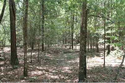 1515H Hephzibah - McBean Road, Hephzibah, GA 30815 - Photo 14
