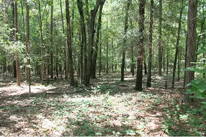 1515H Hephzibah - McBean Road, Hephzibah, GA 30815 - Photo 12