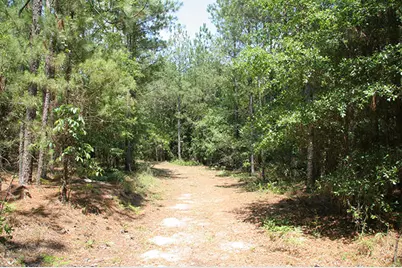1515H Hephzibah - McBean Road, Hephzibah, GA 30815 - Photo 32
