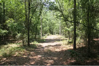 1515H Hephzibah - McBean Road, Hephzibah, GA 30815 - Photo 10