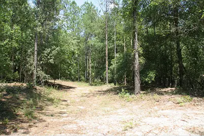 1515H Hephzibah - McBean Road, Hephzibah, GA 30815 - Photo 28
