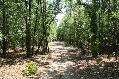 1515H Hephzibah - McBean Road, Hephzibah, GA 30815 - Photo 38